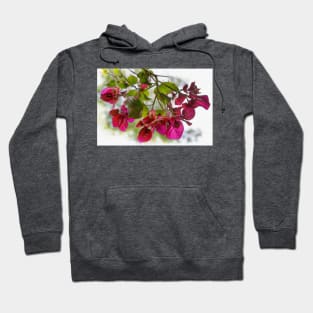 Bougainvillea Light And Subtle Hoodie